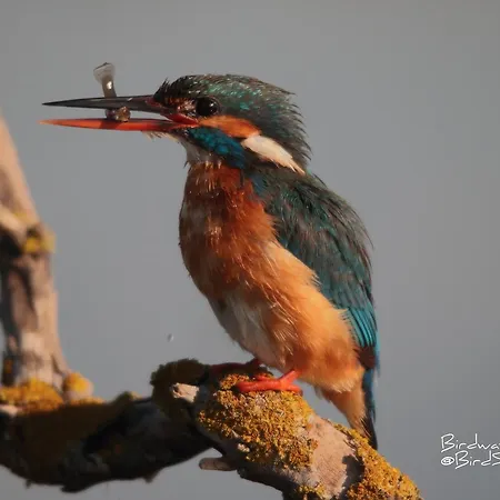 Cima Del Mar * Pego